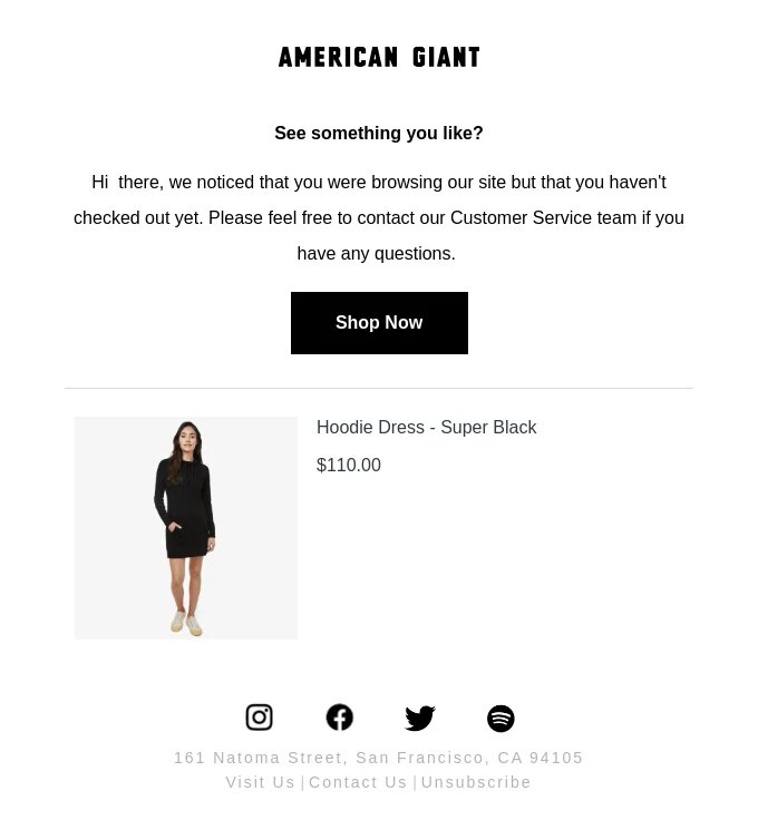 example email from american giant