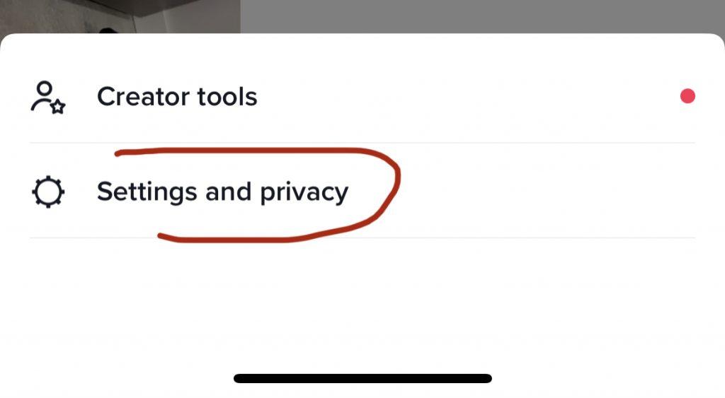 tiktik privacy settings